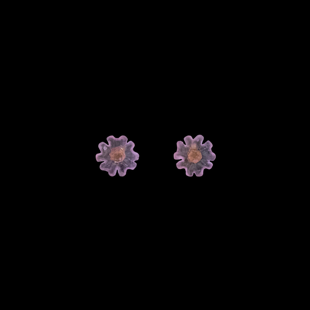 Phlox Earrings - Stud