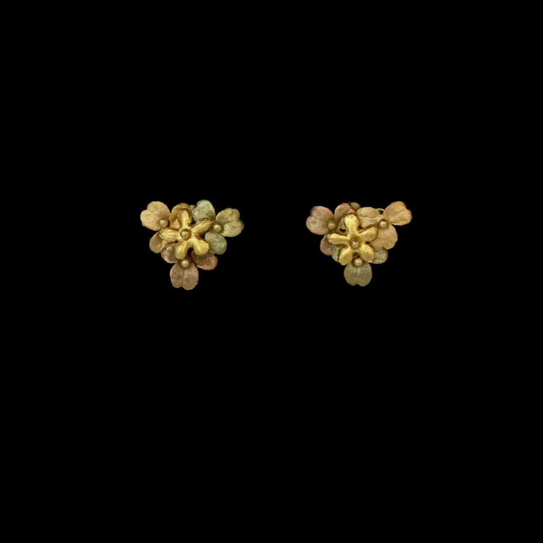 Wood Sorrel Earrings - Post