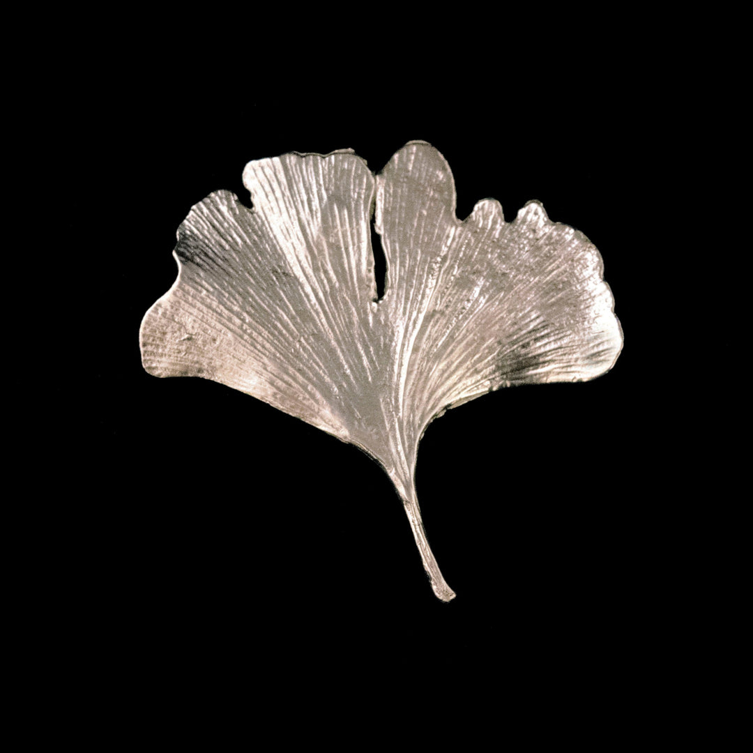 Fine Ginkgo Silver Brooch