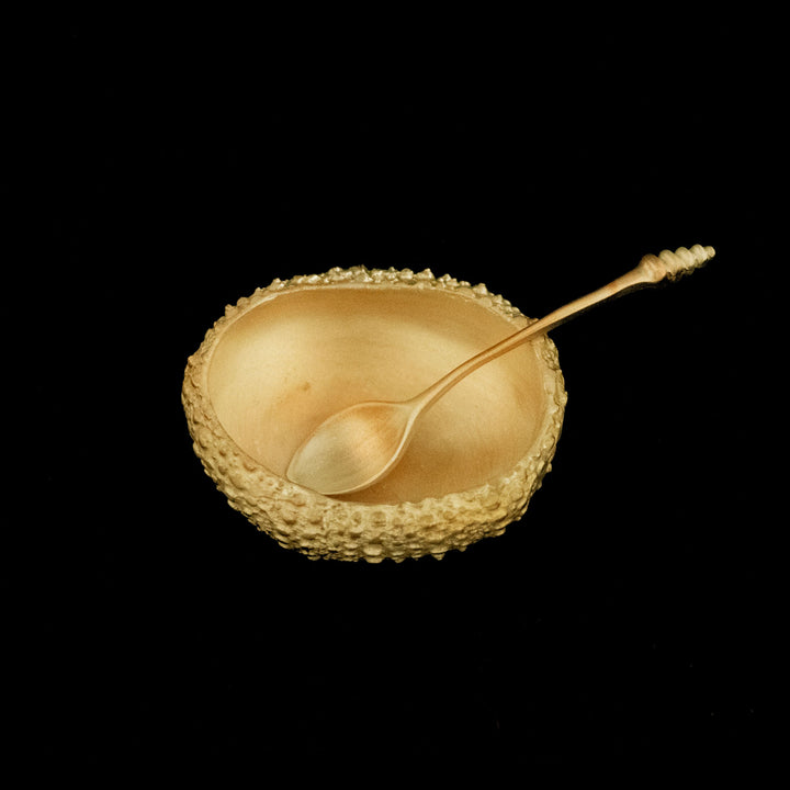 Sea Urchin Salt Dish