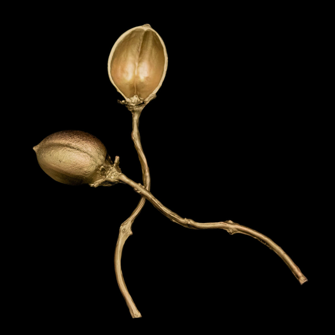 Pod Spoons - Set of 2