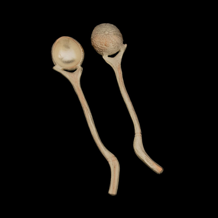 Sea Urchin Spoons - Set of 2