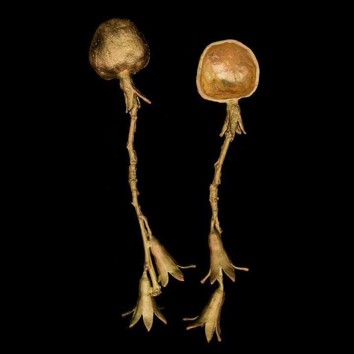 Two gold-colored spoons in the shape of a pomegranate with twigs and flowers on black background