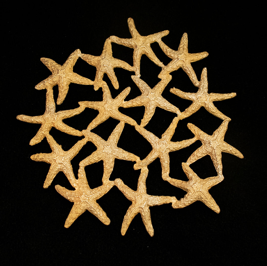 Starfish Trivet