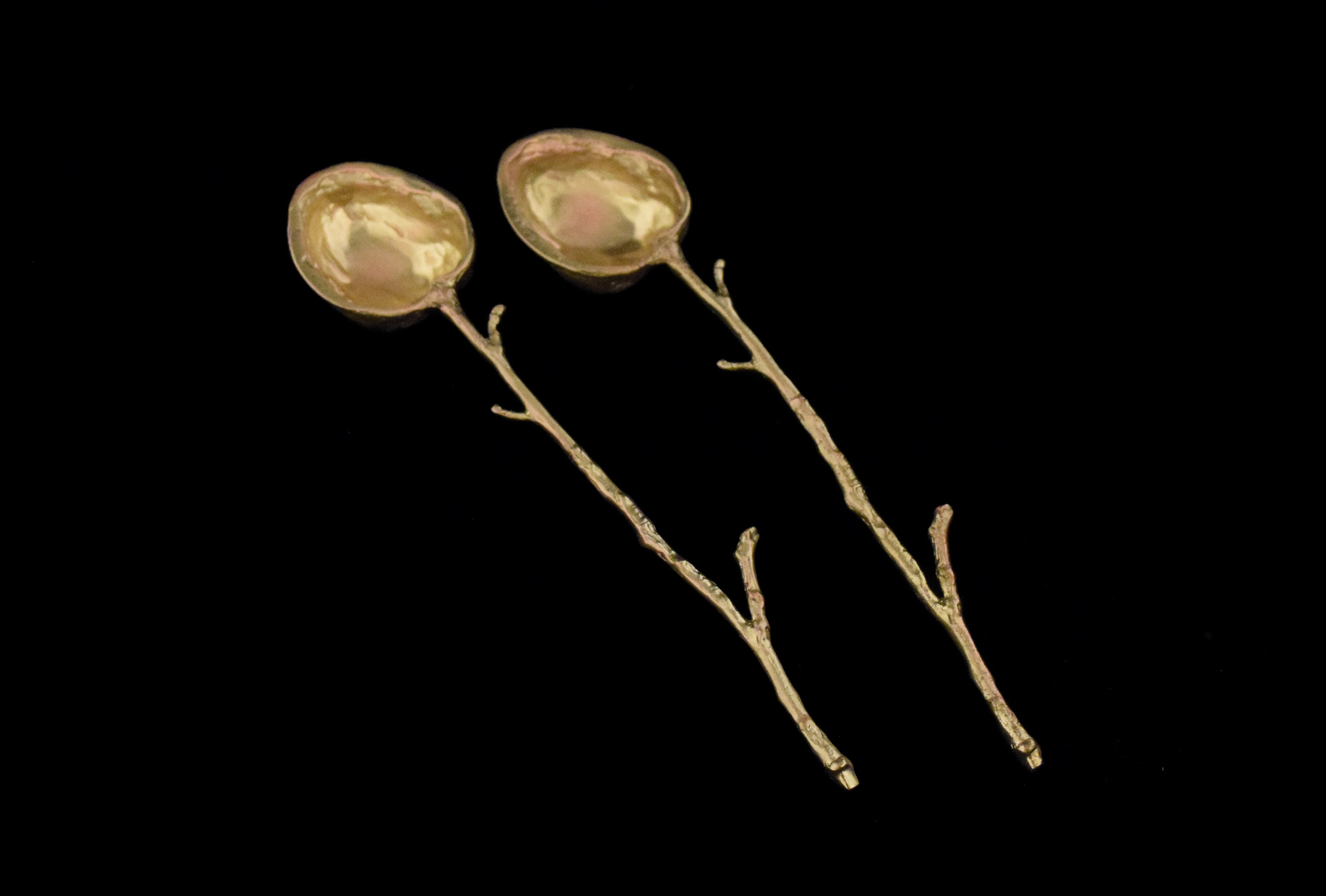 Walnut Bronze Spoons