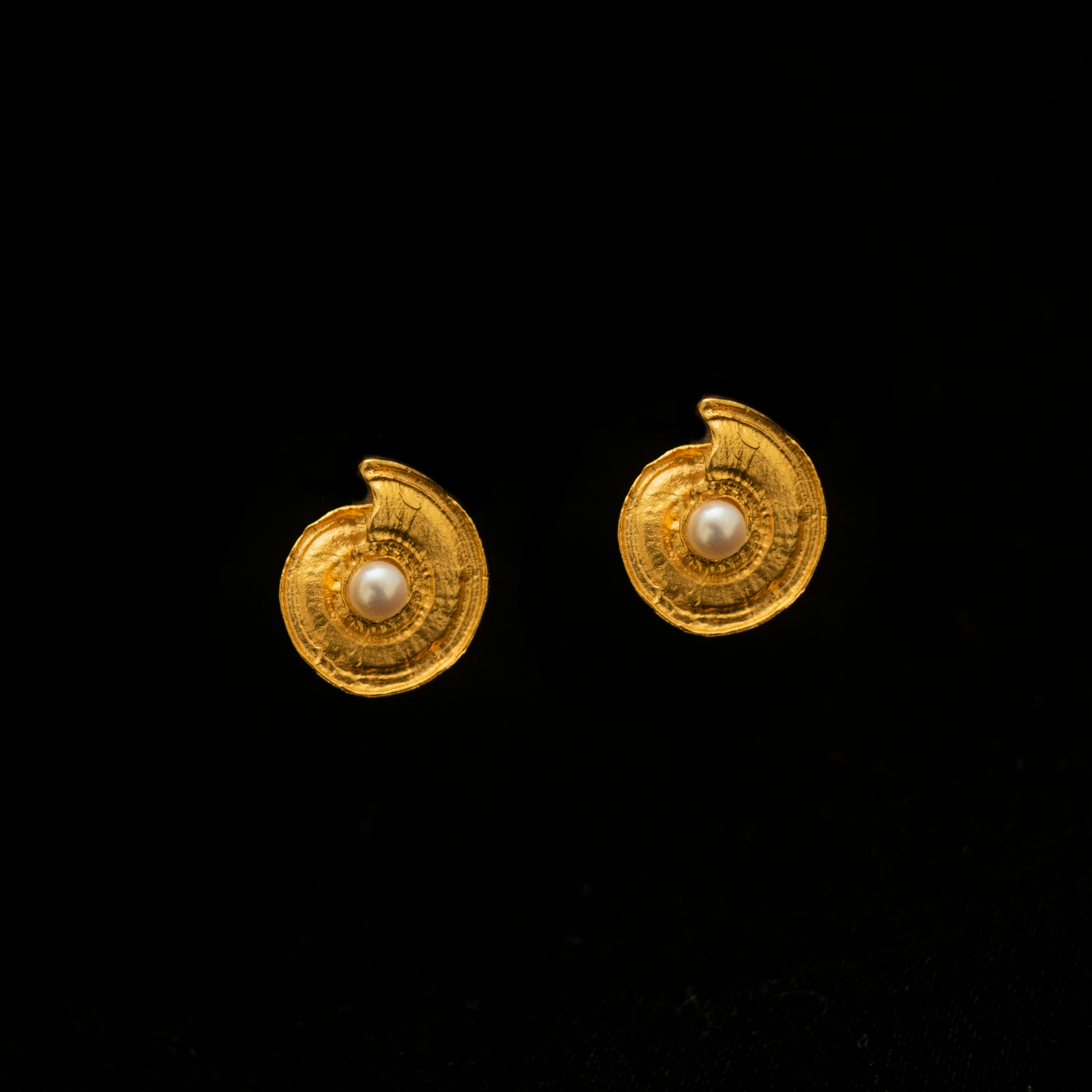 Fine Nautilus Shell Post Earrings