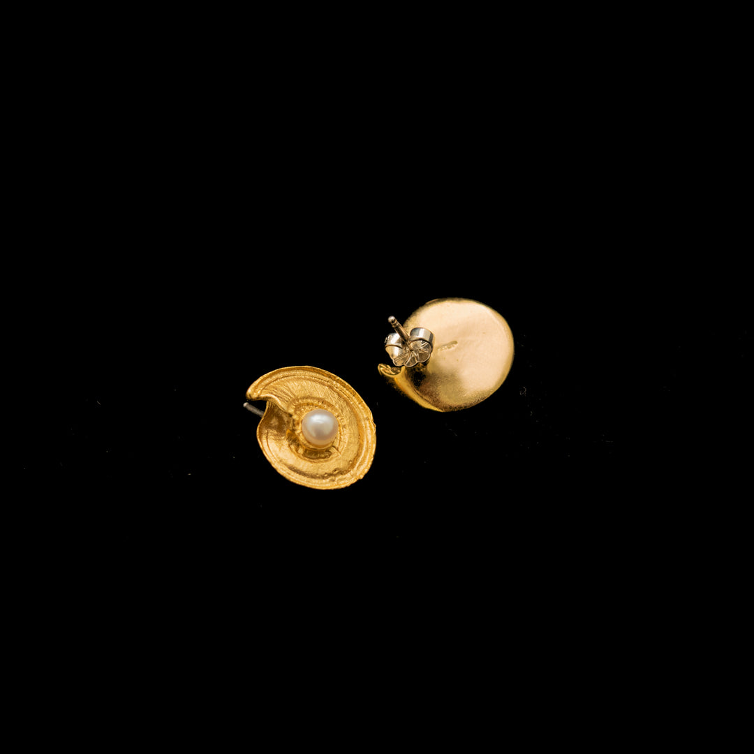 Fine Nautilus Shell Post Earrings