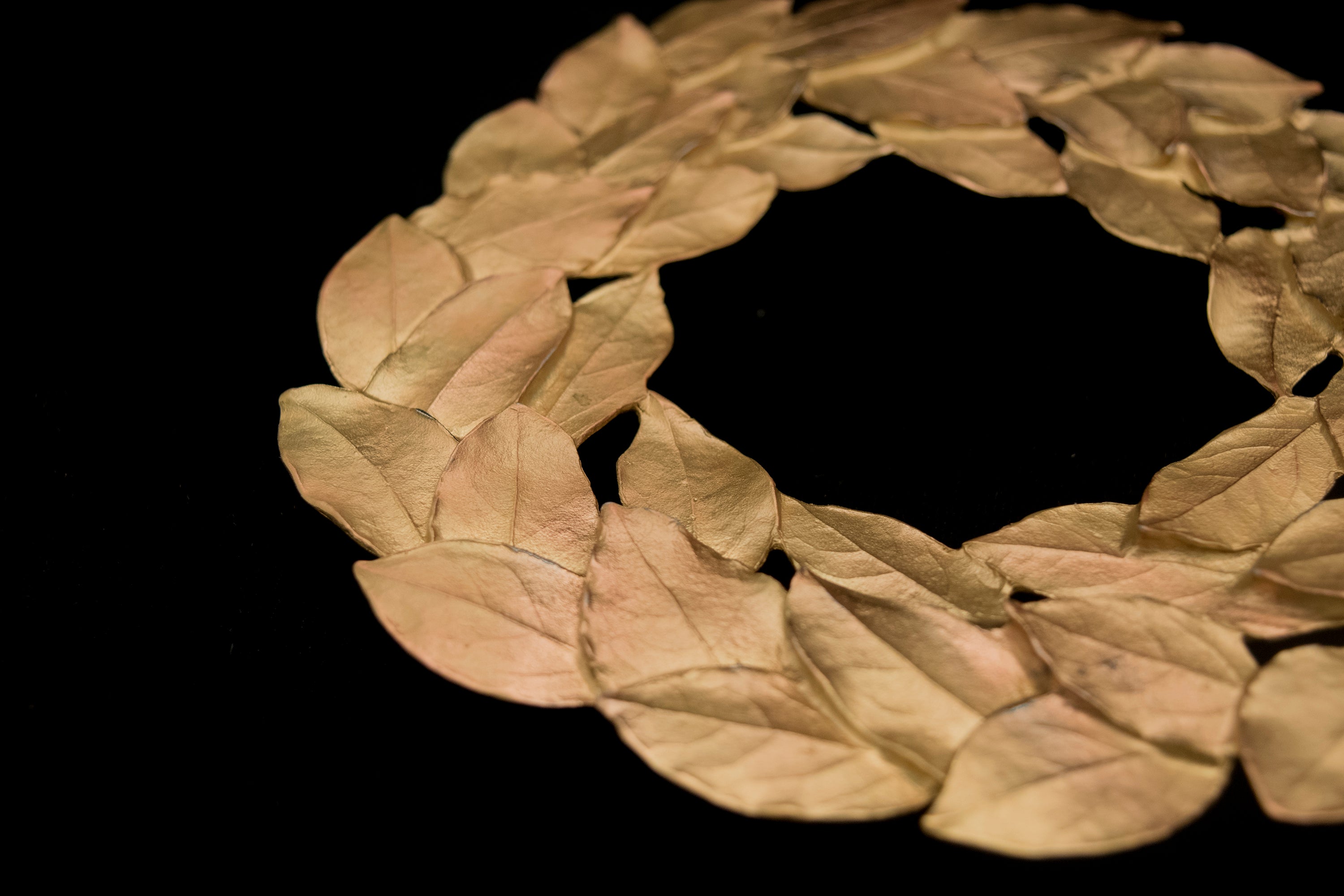 Bay Leaf Trivet - Bronze